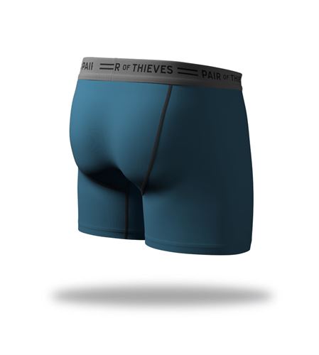 Pair of Thieves Men's Every Day Kit Boxer Briefs 4pk - Blue/Gray S