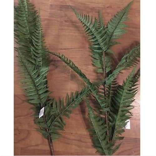 New Threshold Display fern stems - Set of 4