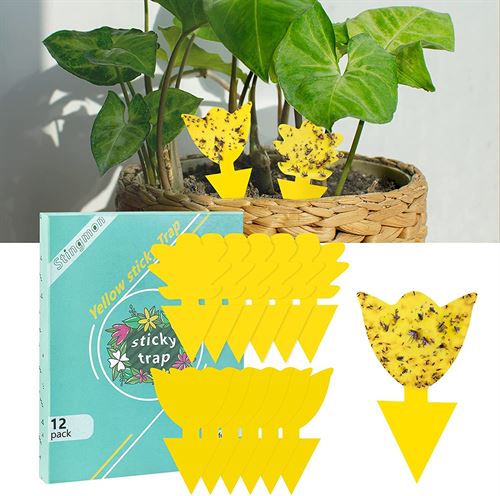 12 Pack Stingmon Sticky Trap Fruit Fly and Fungus Gnat Trap Killer Indoor and Outdoor, Protect The Plant