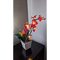 Orchid & Ivy 17-Inch Lighted Dark Pink Artificial Orchid Flower Plant with Timer - Battery Operated with 9 Lights