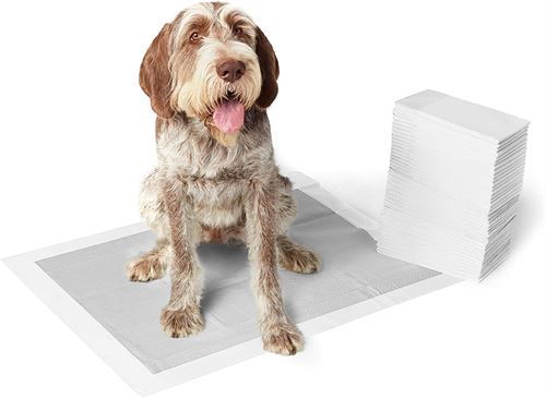 Amazon Basics Dog and Puppy Pads, Leak-proof 5-Layer Pee Pads with Quick-dry Surface for Potty Training PACK OF (50)