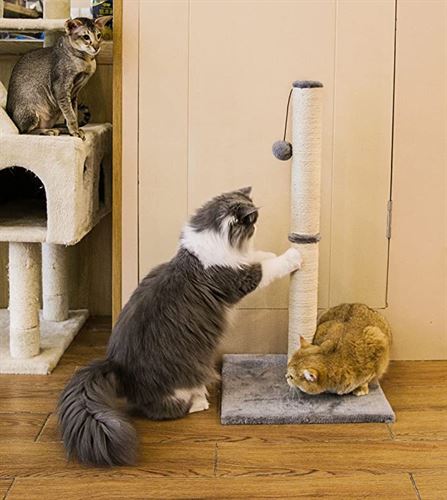 Qucey 32 Inches Tall Cat Scratching Post, Cat Scratcher Post with Sisal Rope Claw Scratcher with Interactive Plush Ball