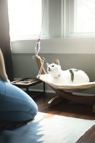 Vea pets Luxury Cat Hammock