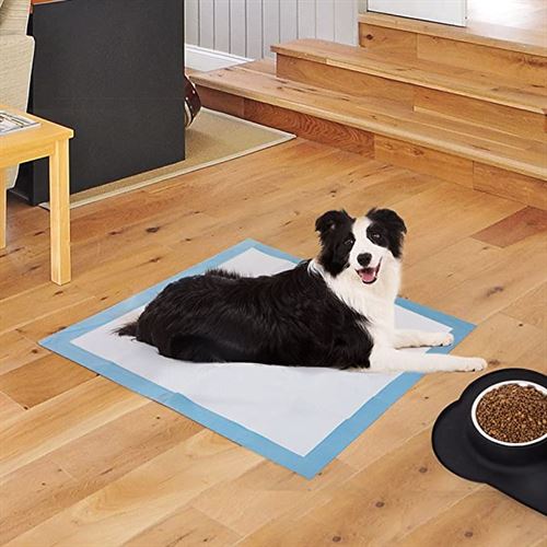 BESTLE Extra Large Pet Training and Puppy Pads Pee Pads for Dogs