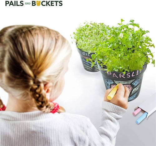 Pails and Buckets Herb Gardening Kit for Kids and Adults
