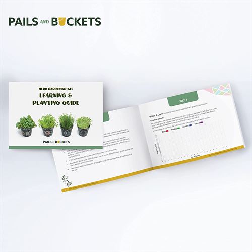 Pails and Buckets Herb Gardening Kit for Kids and Adults