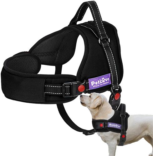 PetLove Dog Harness, Adjustable Soft Leash Padded No Pull Dog Harness for Dogs - Small