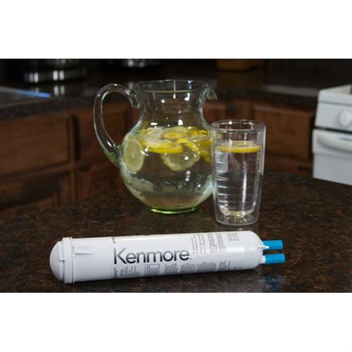 Kenmore 46-9083 Replacement Refrigerator Water Filter 9083