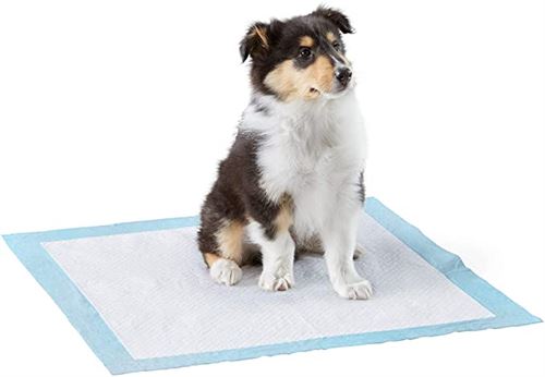 Dog and Puppy Pads Basics Dog and Puppy Pads