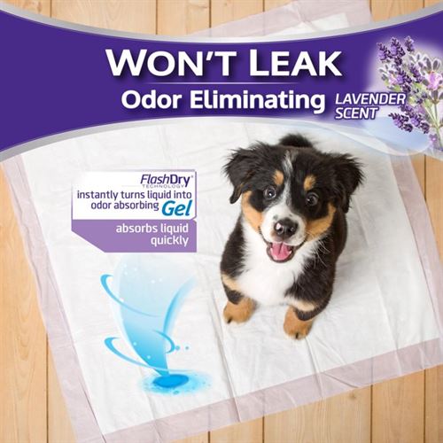 Hartz Home Protection Lavender Scent Odor-Eliminating Dog Pads