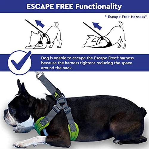 Gooby Escape Free Easy Fit Harness