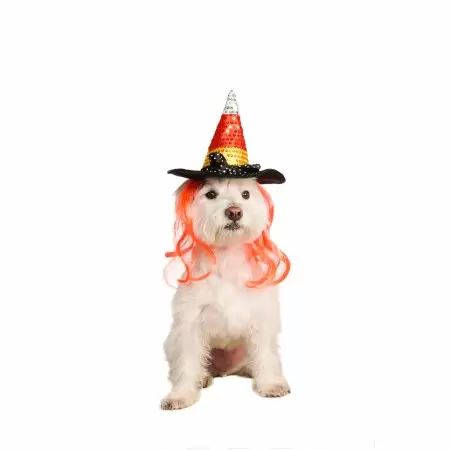 Rubie's Halloween Costume Dog Hat