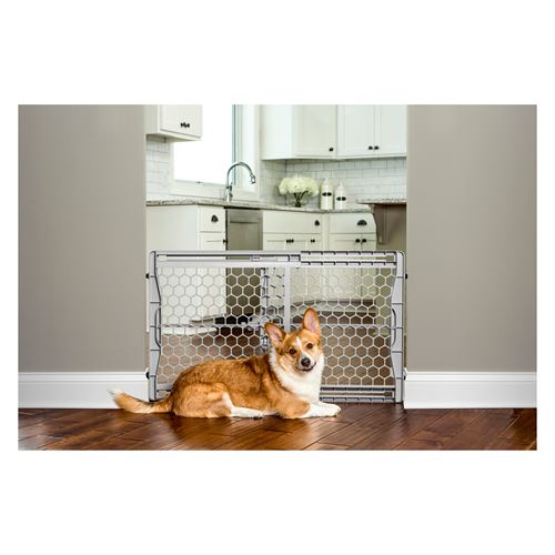 Carlson Plastic Expandable Cat and Dog Gate