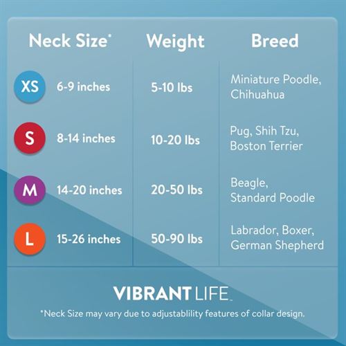 Vibrant Life Solid Nylon Dog Collar, Pink, Medium