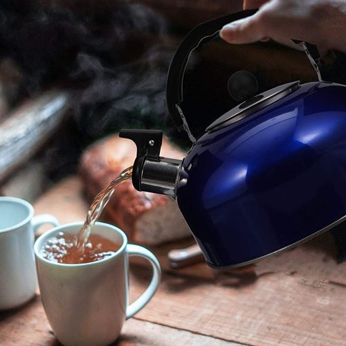 Whistling Tea Kettle Teapot Stainless Cabilock