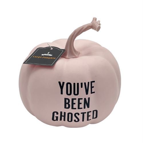Halloween Pumpkin Toy "You've been ghosted" - Pink