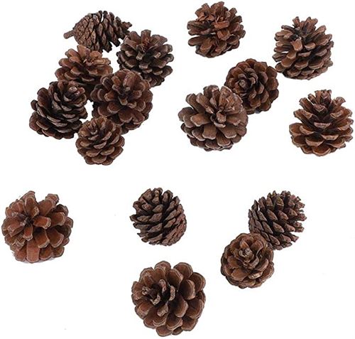 Pine Cones Ornament set of ( 14 ).