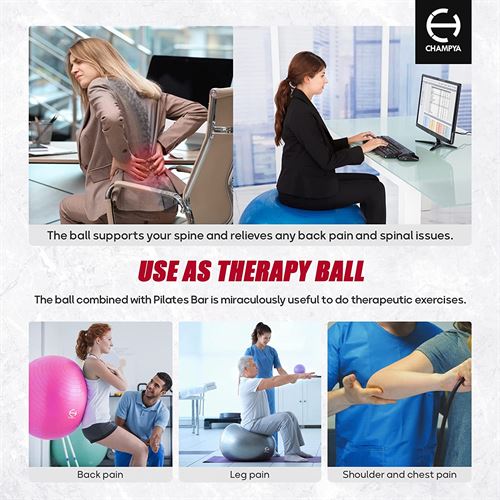 𝗘𝘅𝗲𝗿𝗰𝗶𝘀𝗲 𝗕𝗮𝗹𝗹 for Working Out 65 cm - Yoga Ball Chair & Balance Ball