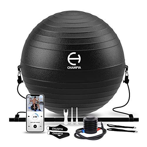 𝗘𝘅𝗲𝗿𝗰𝗶𝘀𝗲 𝗕𝗮𝗹𝗹 for Working Out 65 cm - Yoga Ball Chair & Balance Ball