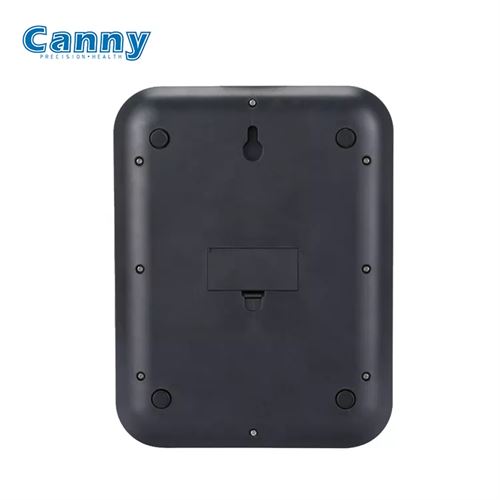 Canny High precision new 5kg 10kg 1g stainless steel electronic digital food kitchen scale