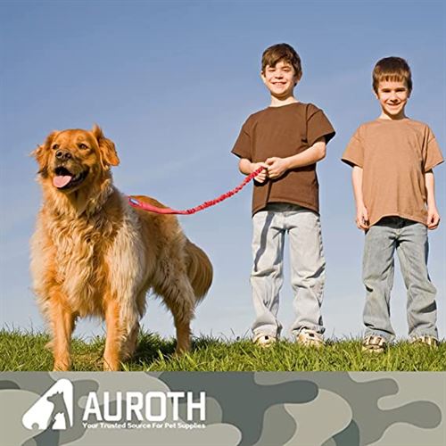 ThinkPet Dog Leashes  AUROTH Dog Leash Large Dogs, Heavy Duty Dog Leash Bungee, No Pull Dog Leash for Shock Absorption, Red Dog Training Leash