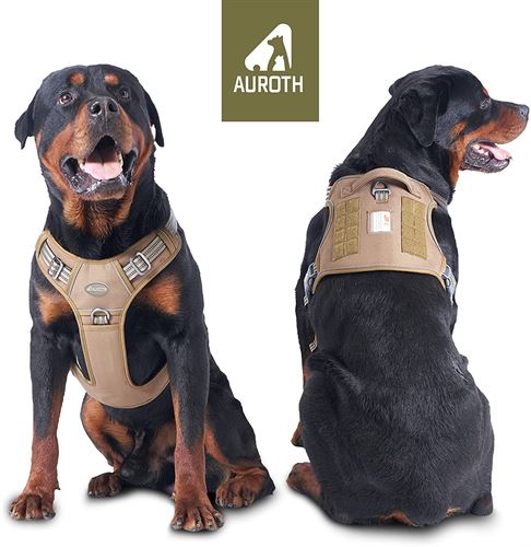 Belt for small and medium dogs - adjustable - for training dogs from Auroth