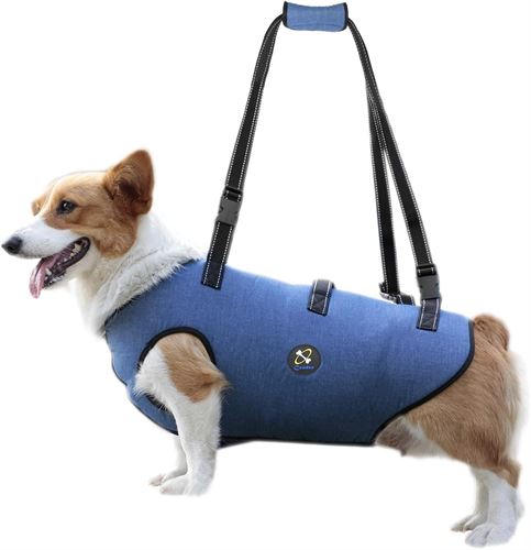 Coodeo Dog Lift Harness, Pet Support & Rehabilitation Sling Lift Adjustable Vest Breathable Straps for Old, Disabled, Joint Injuries, Arthritis, Loss of Stability Dogs Walk