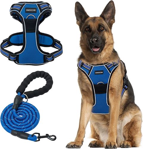 DMISOCHR No Pull Dog Harness and Leash