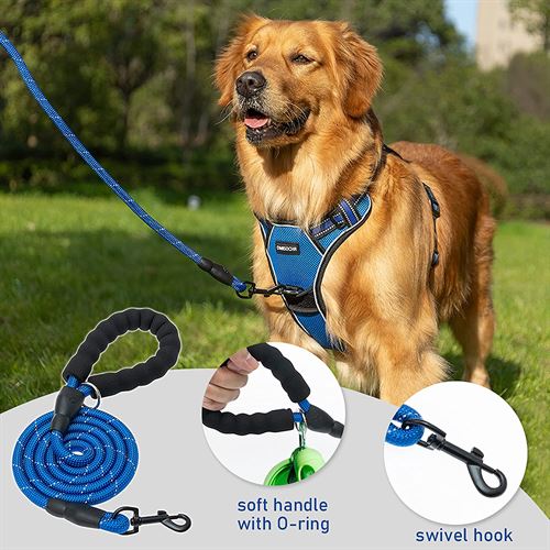 DMISOCHR No Pull Dog Harness and Leash