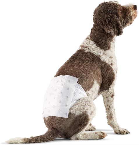 Amazon Basics Male Dog Wrap, Disposable Diapers, Large