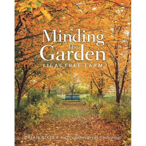 Minding The Garden : Lilactree Farm (Paperback)