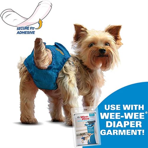 Four Paws Wee Wee Diaper Garment Pads - Pack of 24