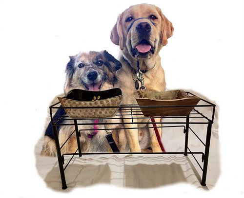 Advance Doggie Dining Table, Large