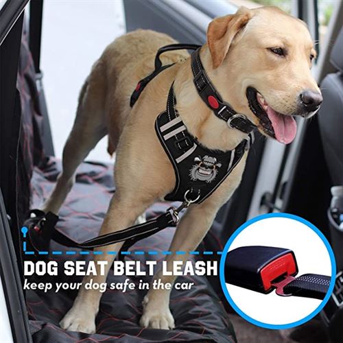 TIANYAO Dog Harness No-Pull Dog Vest Set Reflective Adjustable Oxford Material Pet Harness for Small Medium Large Dogs with Leash and Collar