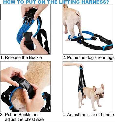 ROZKITCH Pet Dog Support Harness Rear Lifting Harness Veterinarian Approved
