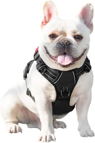 PHOEPET No Pull Dog Harnesses for Small Dogs