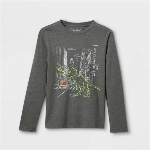 Boys' 'Dinosaur in New York' Graphic Long Sleeve T-Shirt - Cat & Jack Gray M
