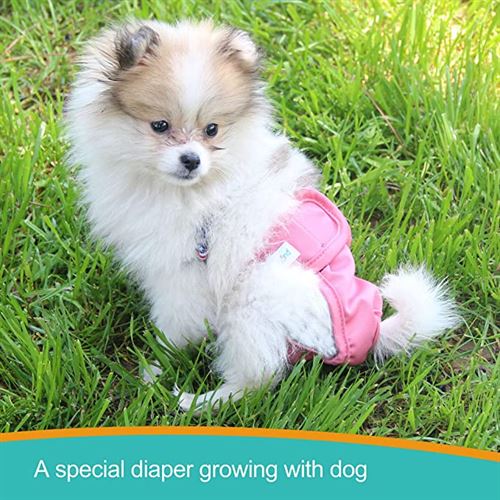 Paw legend 3 pack XS reusable dog diapers