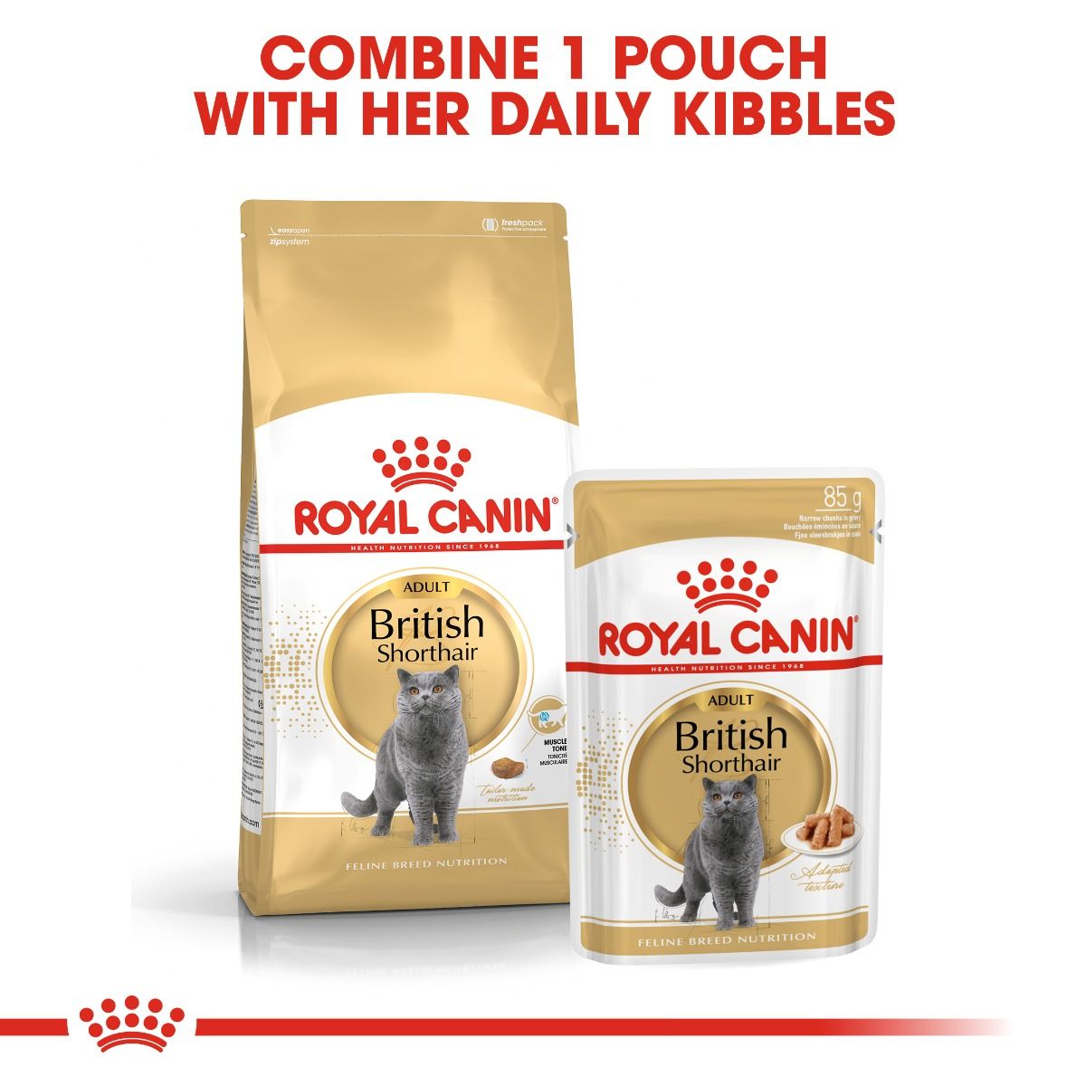 Royal Canin British Shorthair wet food gravy