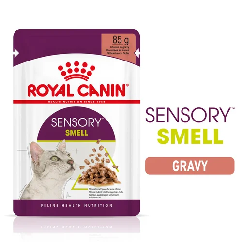 Royal Canin Cat Wet Food Sensory Smell Chunks in Gravy