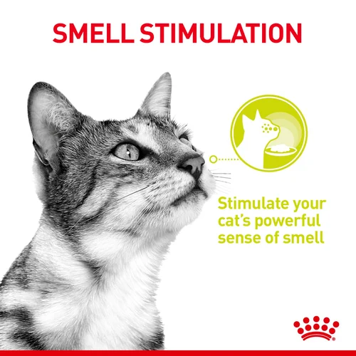 Royal Canin Cat Wet Food Sensory Smell Chunks in Gravy