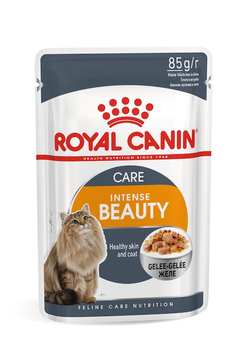 Royal Canin Intense Beauty Jelly