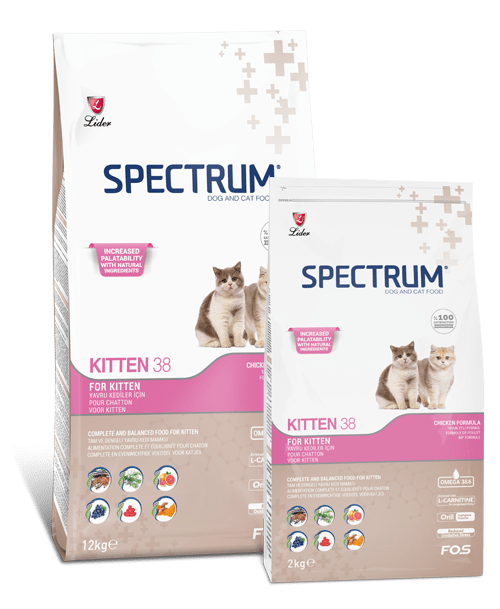 SPECTRUM KITTEN 38 FOOD FOR KITTENS