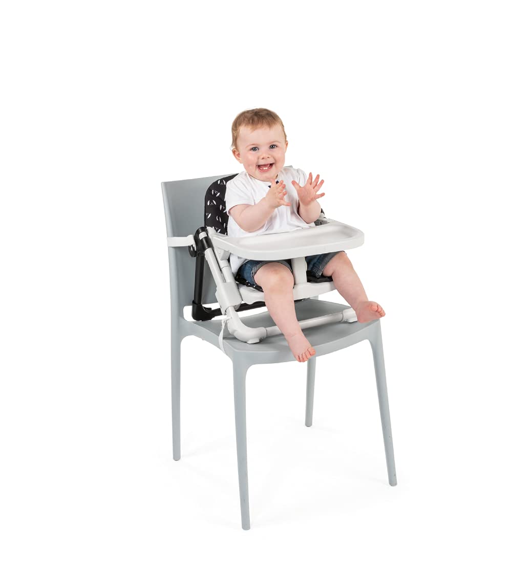 Chicco Chairy, 2-in-1 Booster seat and First chair with 4-height Adjustments & Safety belt, For babies 0m+, (Sweetdog, Balck & White)