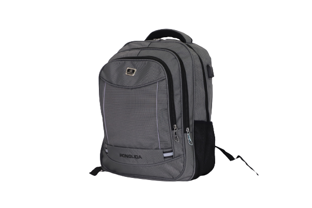 RONGLIDA 2 Laptop Backpack - Bag