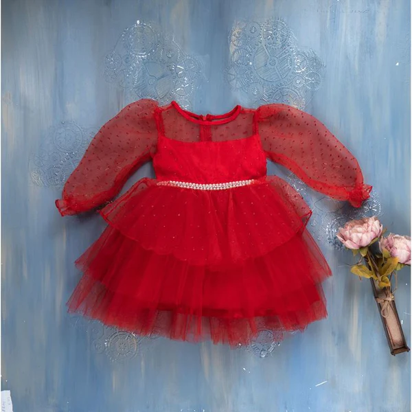 Girl Dress with Organza and Pearl Detailed