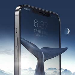 Joyroom Knight Series 2,5D full screen tempered glass with Anti Spy filter for iPhone 12 Pro / iPhone 12 (JR-PF602)
