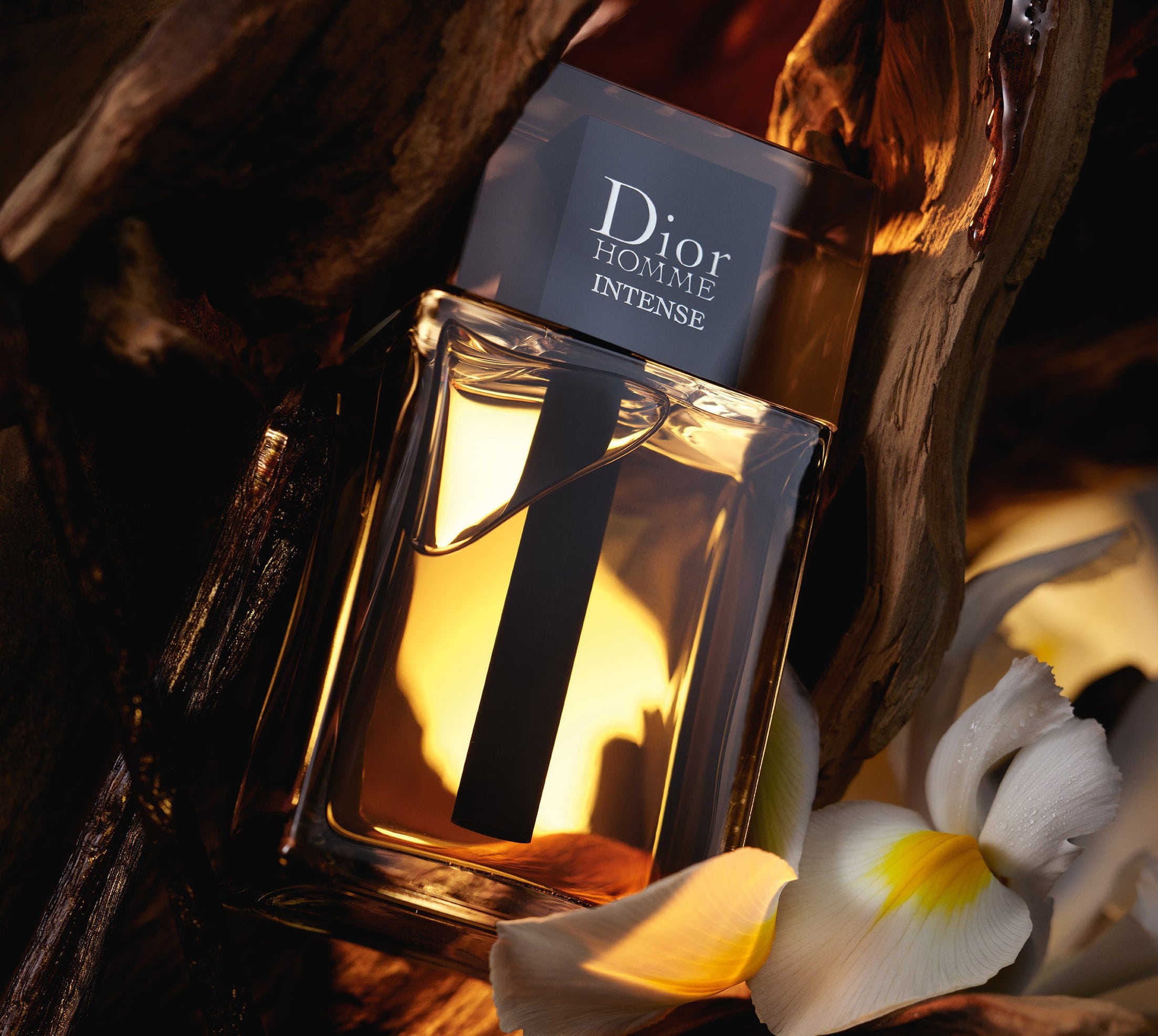 Dior Homme intense Parfum Spray Perfume for Men by Dior