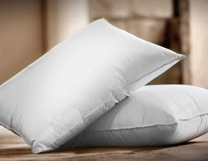 White Holopolyester Pillows (800 Grams)
