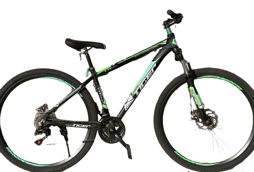 29 inch black and green bicycle